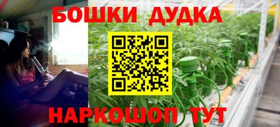 apvp Бийск