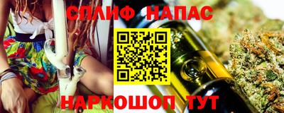 крисы Беслан