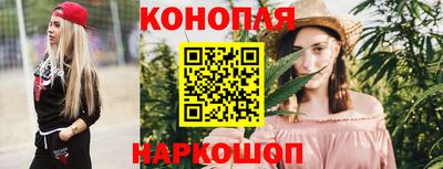 крисы Беслан